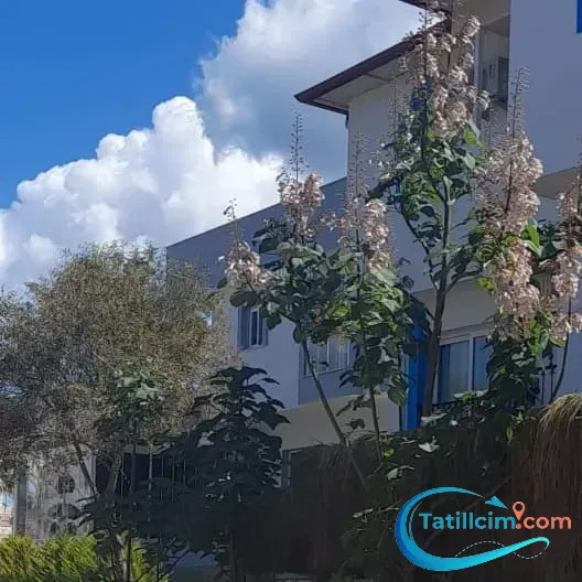 Saadet Hanım Apart Otel